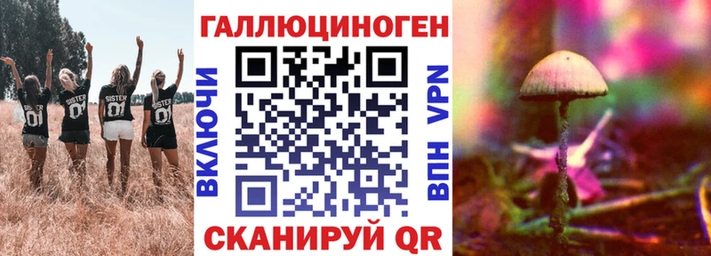 дарк нет состав  Армянск  Псилоцибиновые грибы мицелий 
